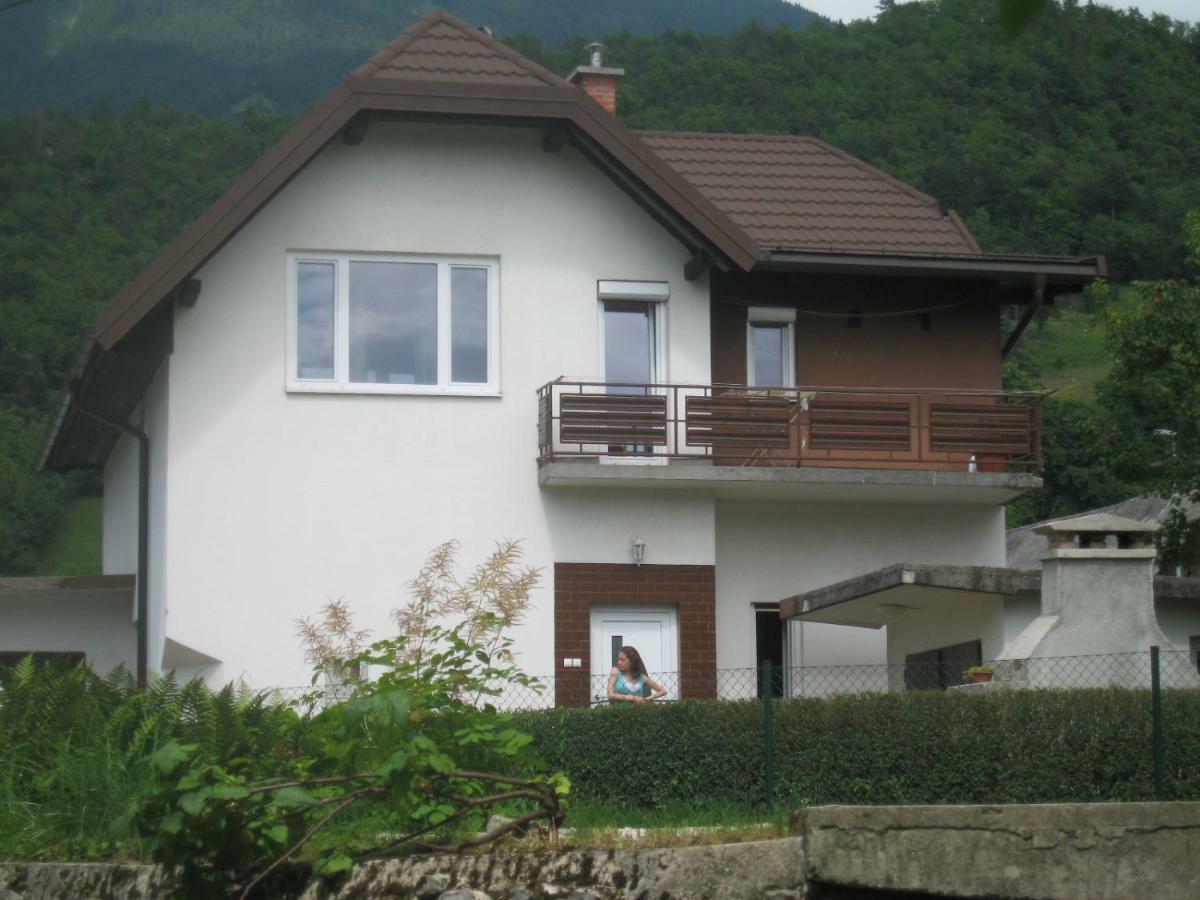 R&g Zirovnica